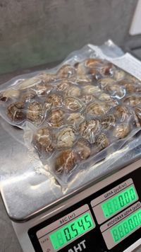 Клемы вонголе в собственном соку 31/40