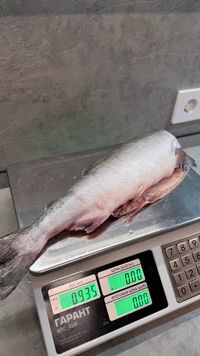 Горбуша потрошёная без головы