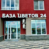 База цветов 24