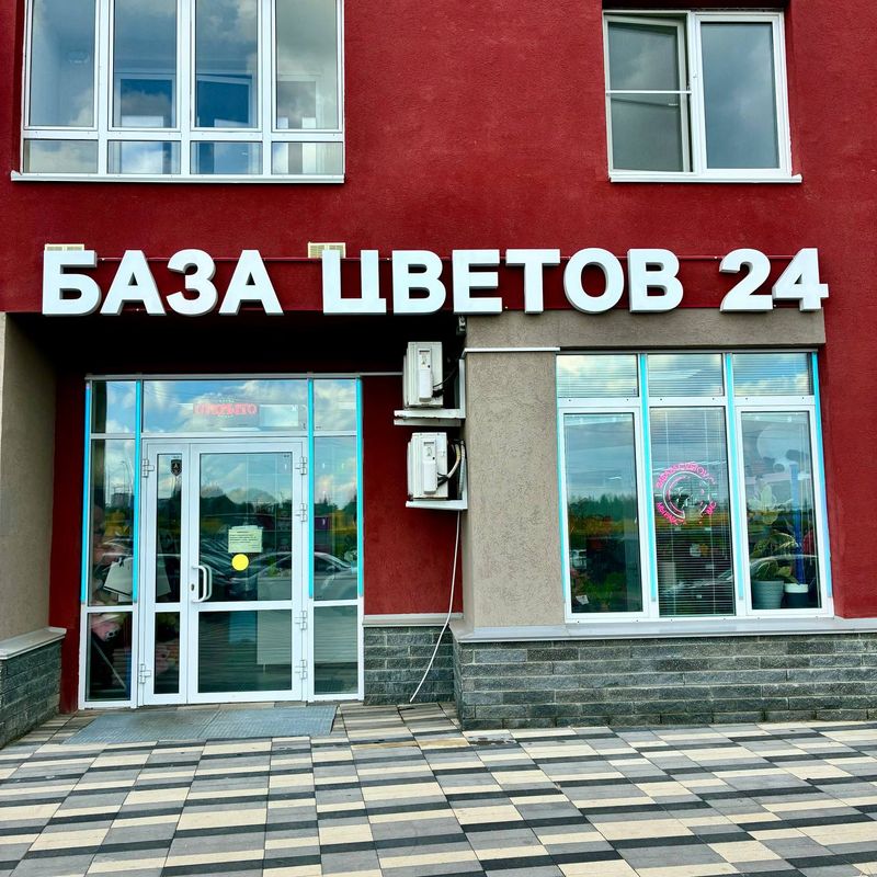 База цветов 24