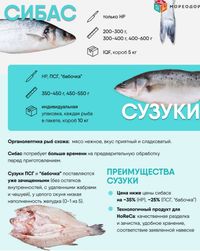 Сибас Сузуки (японский окунь) потрошёный с головой